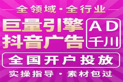 谷歌竞价广告与SEO结合的营销案例解析